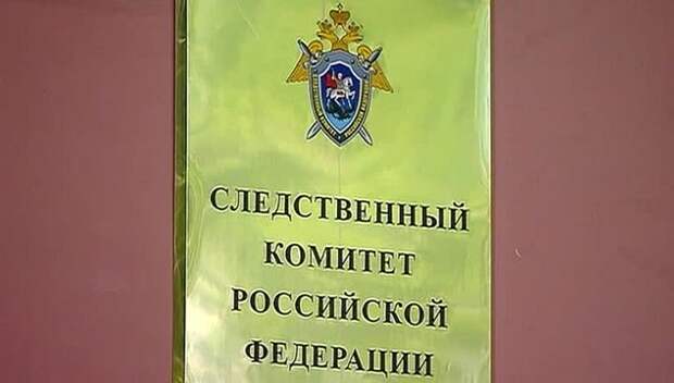 Бесполитик: Следственный комитет вмешался в ситуацию с продажей российских детей в Киргизию