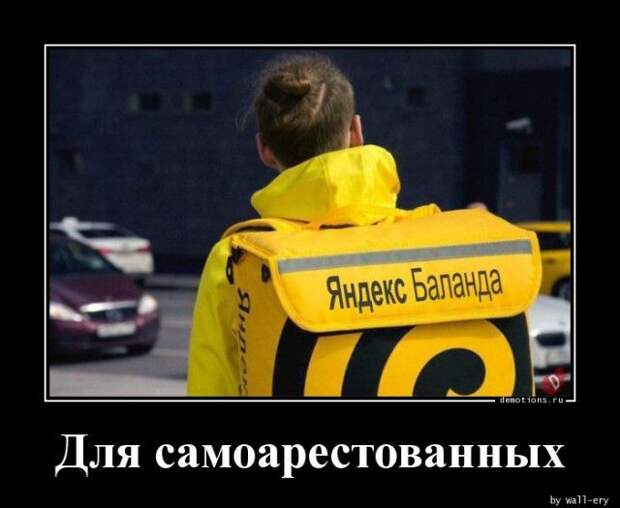 1587452371_demki-7.jpg