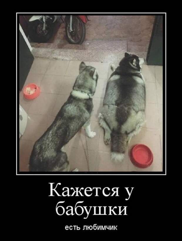 Демотиваторы
