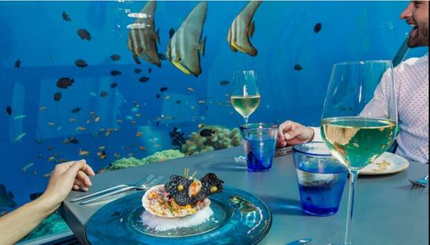 Приём пищи и познание морского мира одновременно. /Фото: tripadvisor.co.uk
