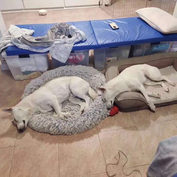 ���� � ������� ��� �������� ���������� � ���� ��������