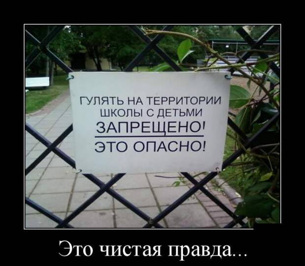 Демотиваторы (30 фото) Демотиваторы (30 фото)