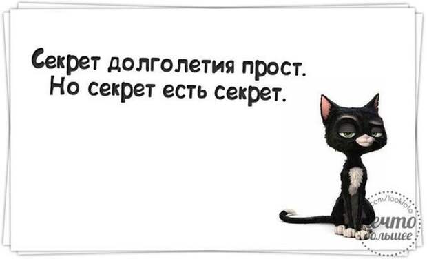 Веселые жизненные наблюдения из Вредного журнала