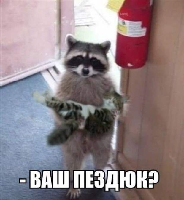 Прикольные картинки снежным вечером (54 шт)