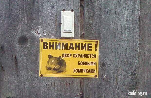 День охранника (45 фото)