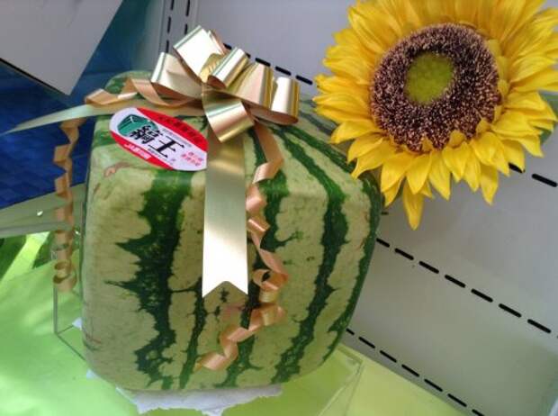 Топ-10: Самые роскошные блюда японской кухни
