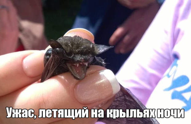 Подборка прикольных фото №1273 (103 фото)