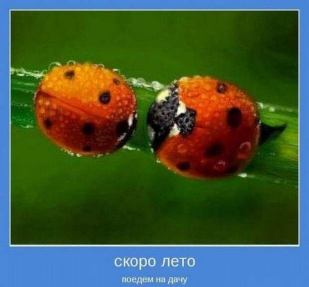 Мотивируемся, позитив.