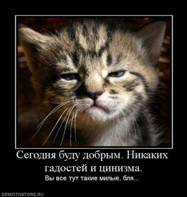 Пятничные демотиваторы, много новых прикольных.