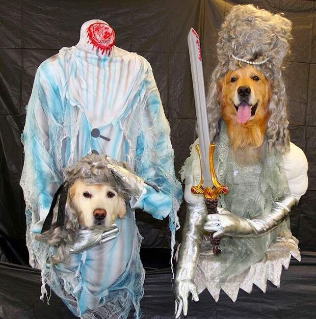 Собаки в страшных костюмах