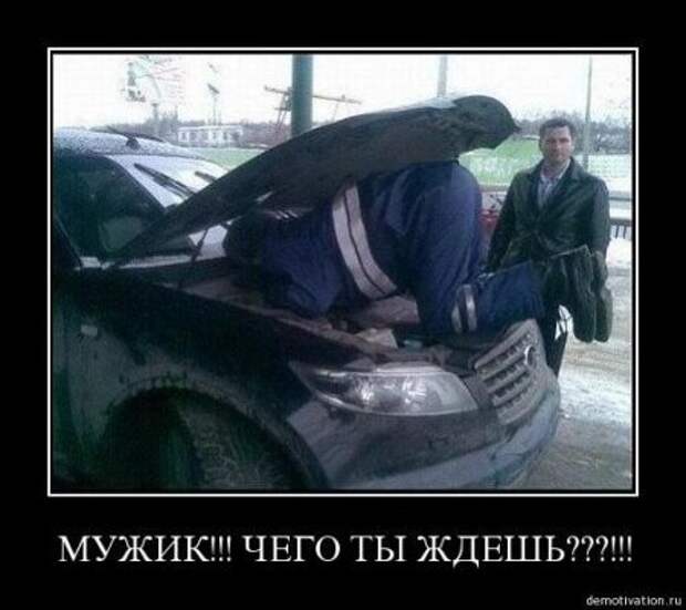 Демотиваторы с фото приколами у нас всегда смешно!