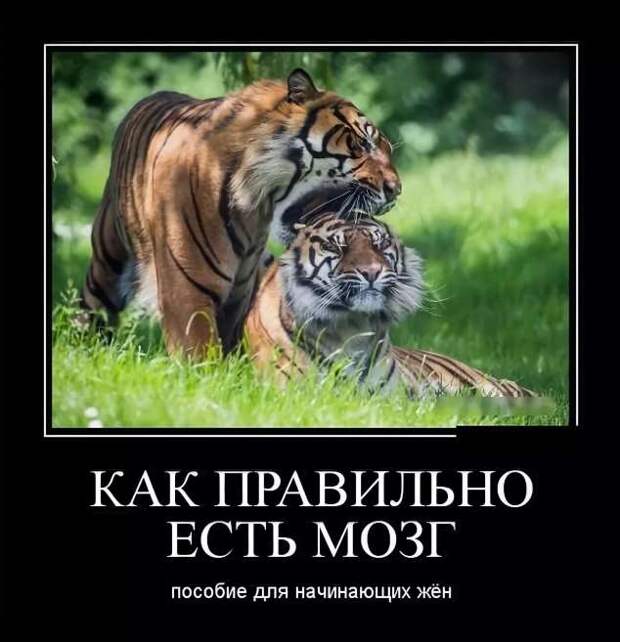 Прикольные демотиваторы с надписями. Подборка chert-poberi-dem-chert-poberi-dem-23300901072020-15 картинка chert-poberi-dem-23300901072020-15