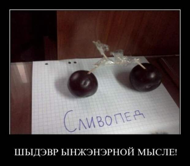 Демотиваторы смешные и новые с приколом и забавным смыслом.