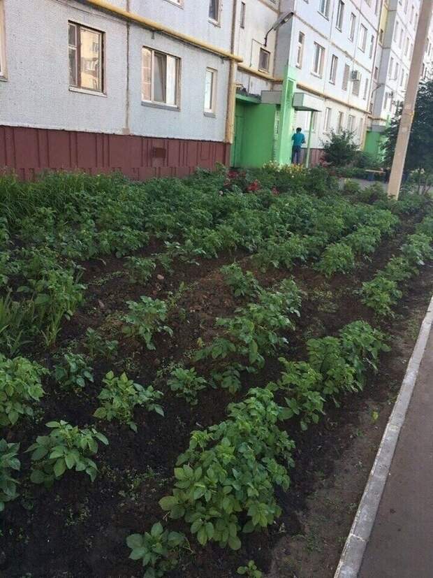Просто Химки