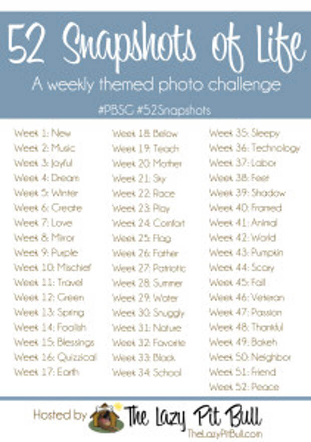 52 Snapshots of Life-large