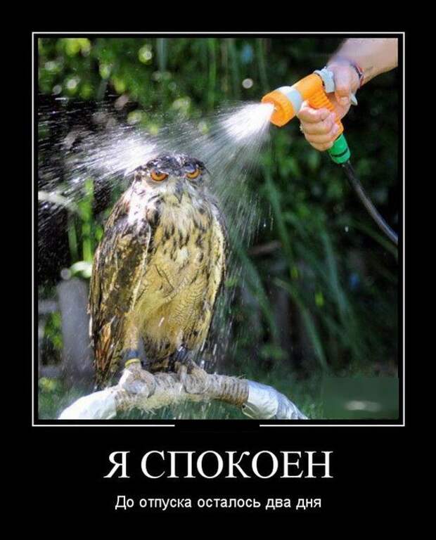 Свежие и веселые демотиваторы для пятничного настроения (10 фото)