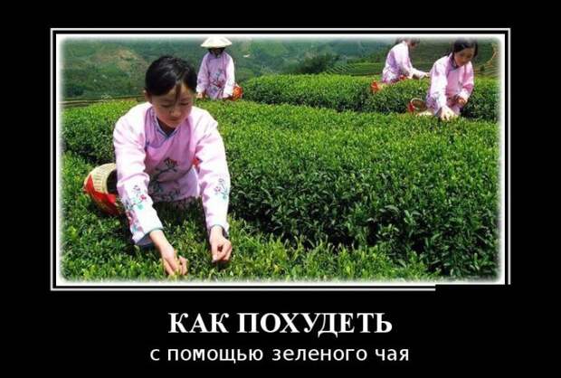 Демотиваторы (30 фото)