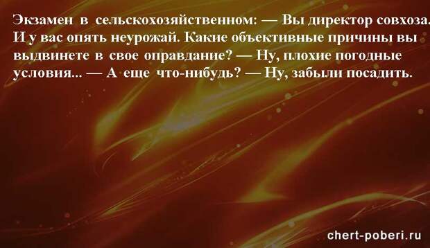 Самые смешные анекдоты ежедневная подборка chert-poberi-anekdoty-chert-poberi-anekdoty-09250913072020-16 картинка chert-poberi-anekdoty-09250913072020-16