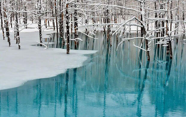 Завораживающая красота небесно-голубых вод пруда на Хоккайдо