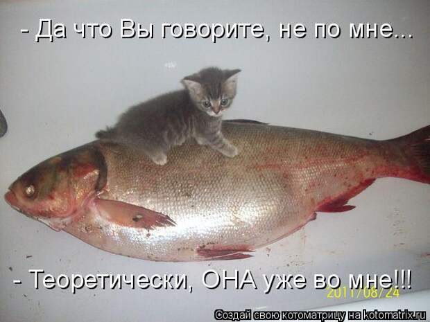 Котоматрица: - Да что Вы говорите, не по мне... - Теоретически, ОНА уже во мне!!!