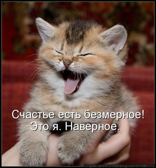 Котоматрица - Счастье есть безмерное! Это я. Наверное.