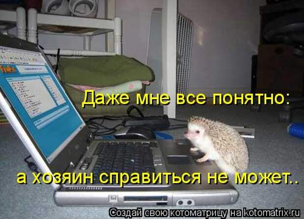 Мысли вслух :)