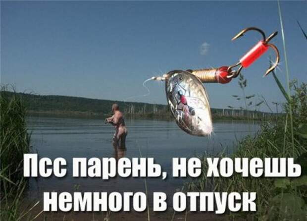 Позитивный день, прикольные фото.