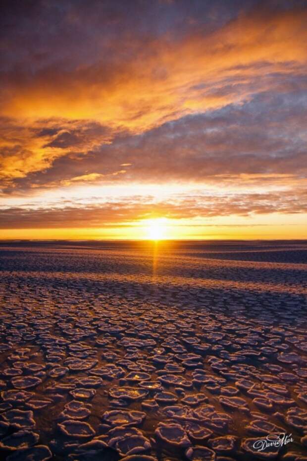 Замерзшие воды Исландии (9 фото)