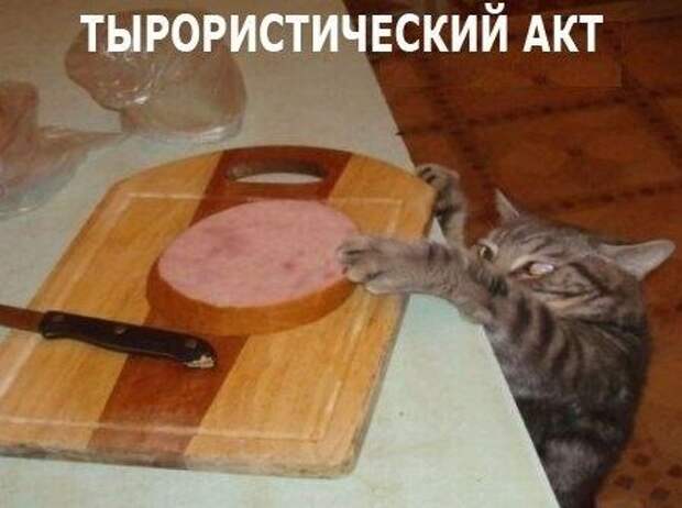 тыр-акт