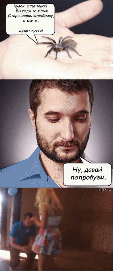 Смешные картинки с подписями катинки, прикол, юмор