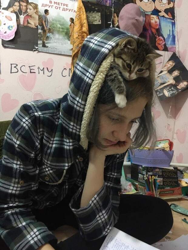 Хэдкот Хэдкот