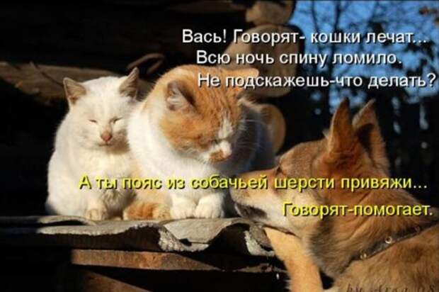 bc9446d242f7e7b593b7367e9a4_prev