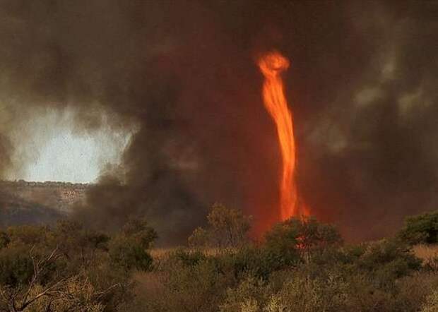Редкий снимок страшного огненного вихря