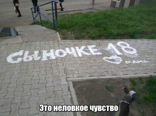 www.vsyako.net
