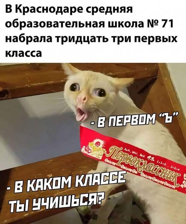 В каком классе учишься? ) В каком классе учишься? )