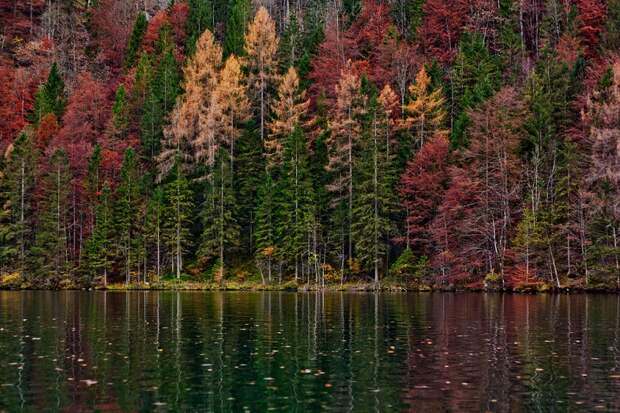 Озеро Кенигзее в Национальном парке Берхтесгаден. Германия. Фото