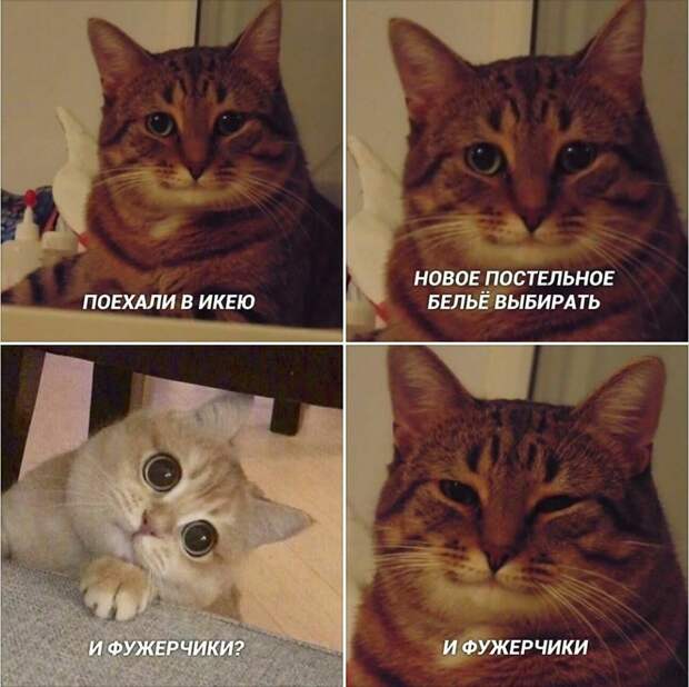 мем про фужерчики