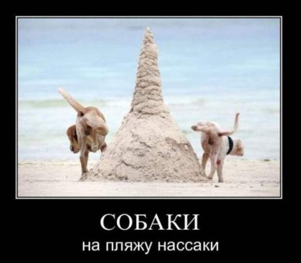 Демотиваторов весело, много, и самые прикольные!
