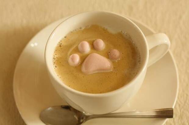 Плавающие зефирные котята в вашей чашке горячего кофе!