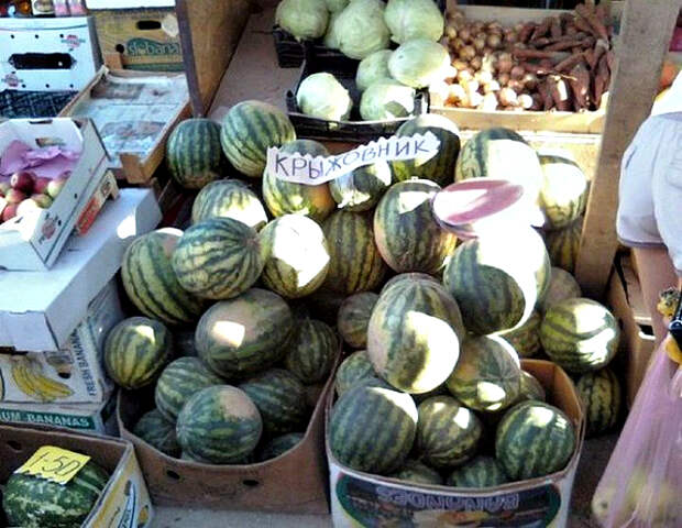 Урожай крыжовника.