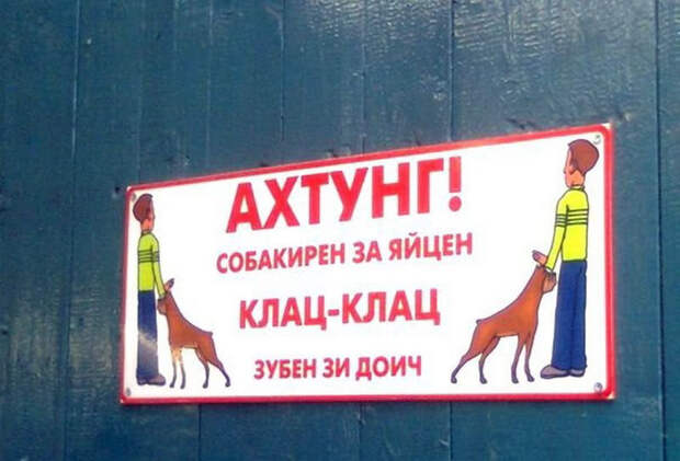 Звучит убедительно: 20 остроумных табличек собака, табличка, юмор