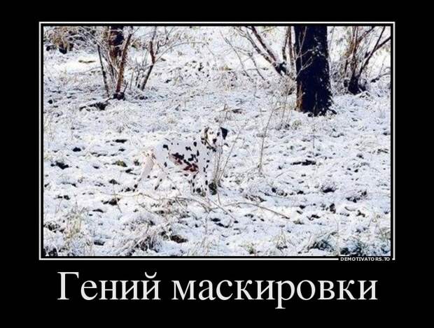 Подборка демотиваторов демотиваторы, юмор