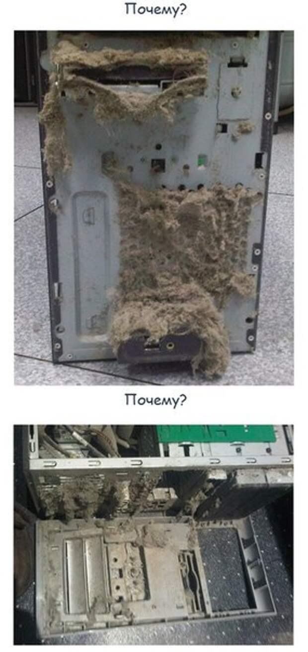 Действительно