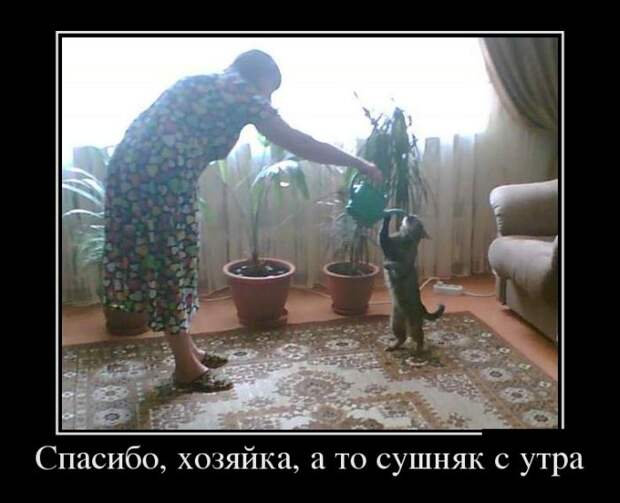 demotivatory-demotivator-smeshnye-demotivatory-demotivator-so-smyslom demotivatory-demotivator-smeshnye-demotivatory-demotivator-so-smyslom