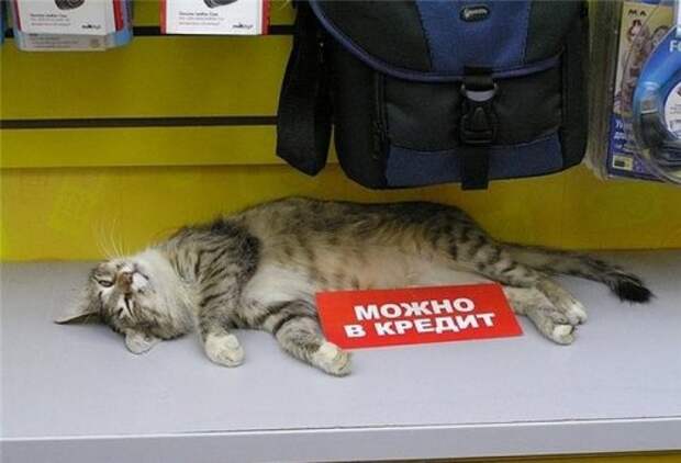 Доза позитива в прикольных картинках (49 шт)