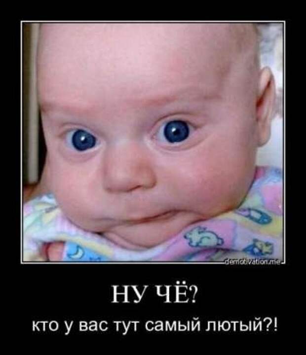 Демотиваторы приколы к выходным.