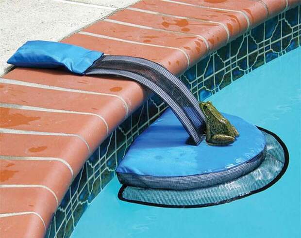 Это изобретение спасает жизнь мелким животным, упавшим в бассейн