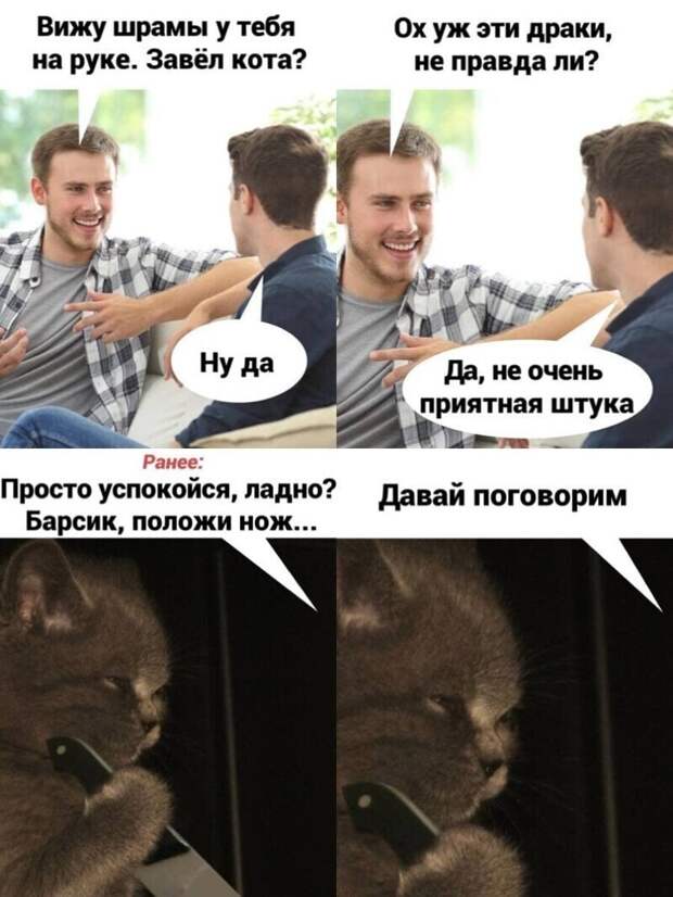 Самые удачные котомемы Рунета Самые удачные котомемы Рунета