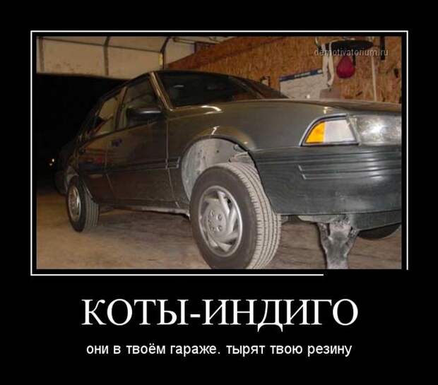 Демотиваторы (30 фото) Демотиваторы (30 фото)