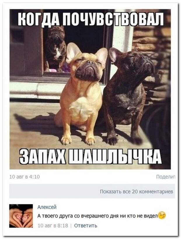 Комментарии из соцсетей